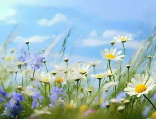 ABC Before International Women’s Day