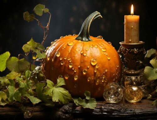 Halloween / Samhain