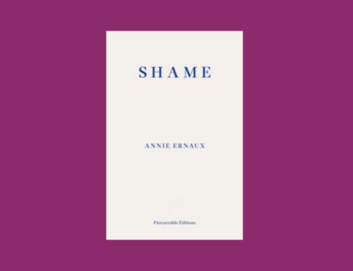 Book review: Shame