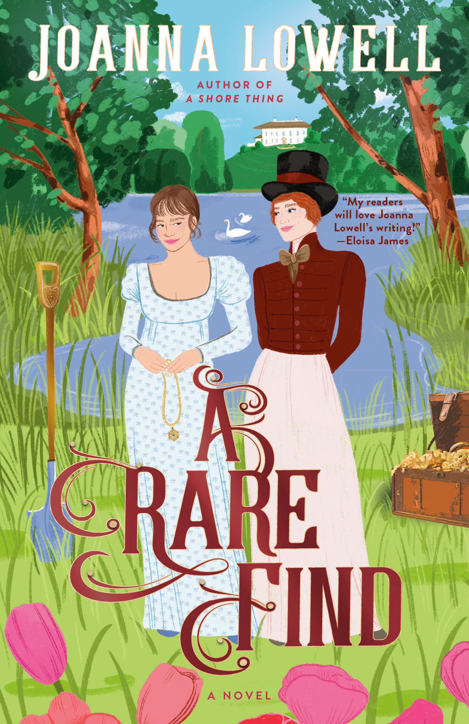 A Rare Find cover of A Rare Find by Joanna Lowel